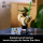 LEGO STAR WARS 75438 Popiersie Yody™ - 1517912 - zdjęcie 5